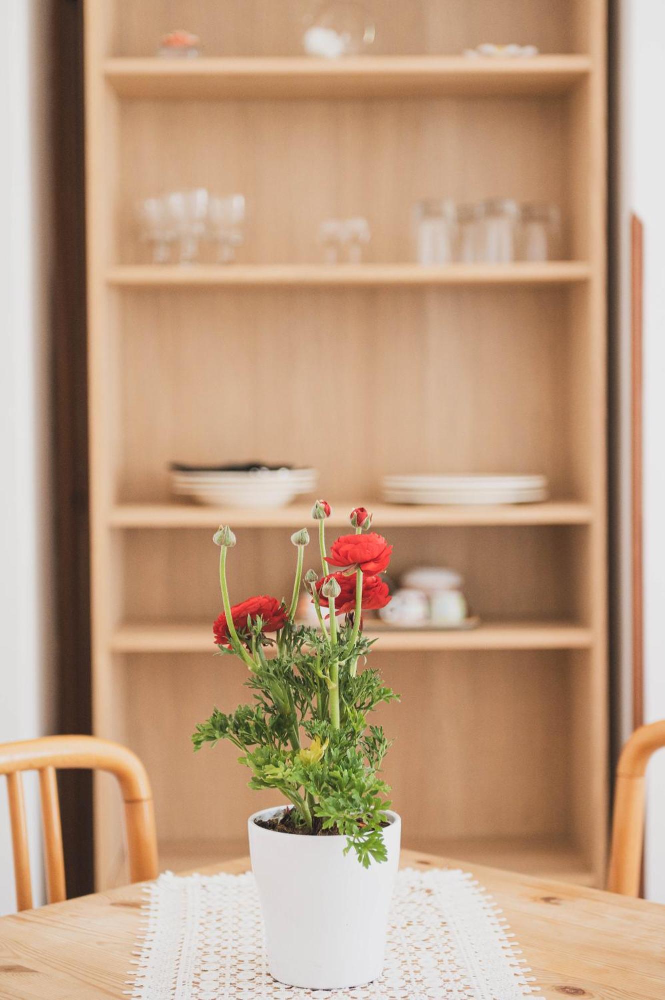 Pucare Apartments 特拉蒙蒂 外观 照片